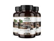 Combo 3 em 1 - Ashwagandha + Moringa + Maca Negra - WNutry - 120 Capsulas - Economizando com saúde.