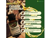 Óleo de Andiroba 20ml BioEssência |100% Natural | Hidratação e Massagem - 181