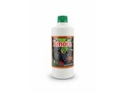 Amora Líquida 500ml: Alívio de Cóleras, Equilíbrio Hormonal e Ação Antioxidante.