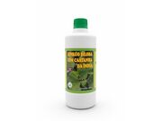 Ginkgo Biloba + Castanha da Índia Líquido 500ml: Foco, Concentração e Alívio de Pernas Cansadas.