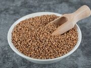 Venda de Feno Grego no Jardim das Acácias