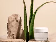 Preço de Aloe Vera na Bandeira