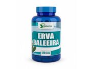 Preço de Erva Baleeira em Almirante Tamandaré